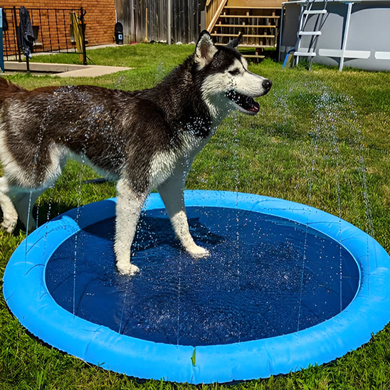 piscine pour chien avec fontaine pour jeu interactif