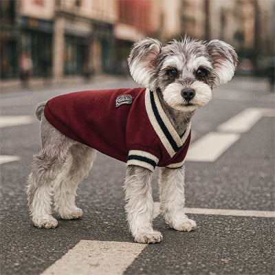 Pull pour chien bordeaux, style moderne et protection thermique