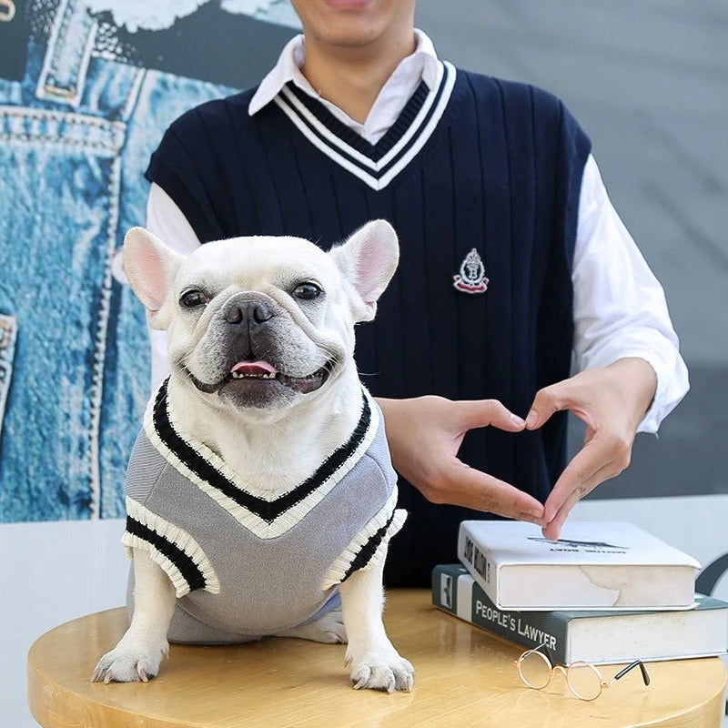 Pull pour chien gris, Ă©lĂ©gant et chaud pour lâhiver