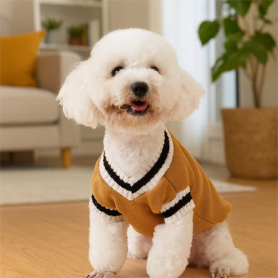 Pull pour chien jaune moutarde, chaleur et confort hivernal