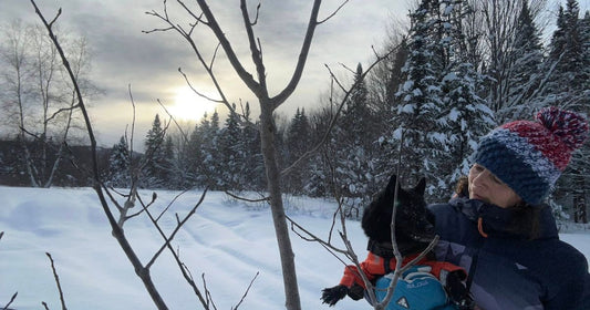 femme marchant avec son chien Falco dans la neige promenade hivernale chien