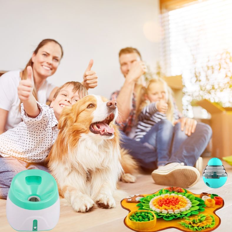 Les essentiels pour le bien-être de votre chien - Annie-Mo