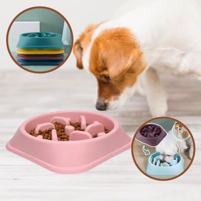 Accessoire pour chien, gamelle anti glouton pour réduire les ballonnements