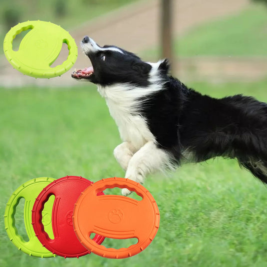 Border Collie sautant pour attraper son frisbee chien