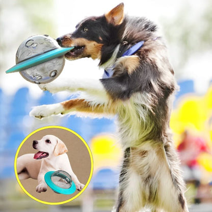 Border collie jouant avec distributeur de croquettes chien en mouvement