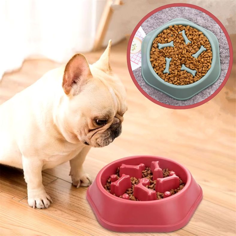 Bouledogue français mangeant dans une gamelle anti glouton rose