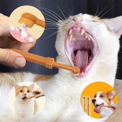 brosse-a-dent-chien-en-profondeur