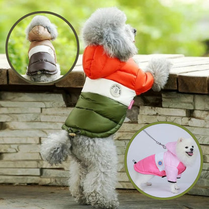 Caniche en manteau chien hivernal protection maximale