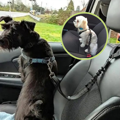 Ceinture de sécurité pour chien à utiliser avec harnais