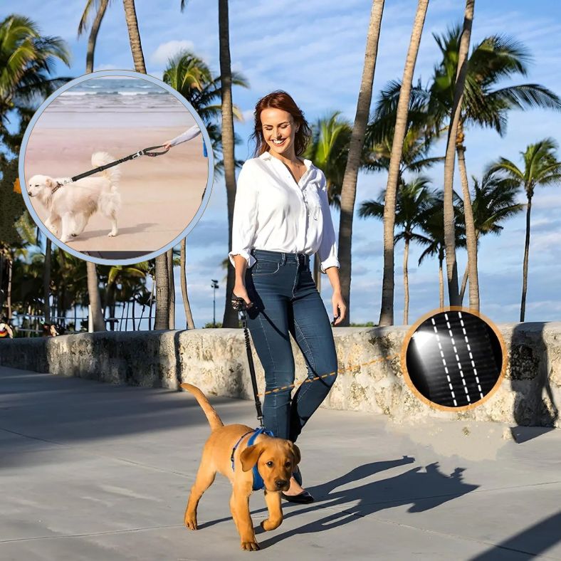 Ceinture de sécurité pour chien utilisée en laisse