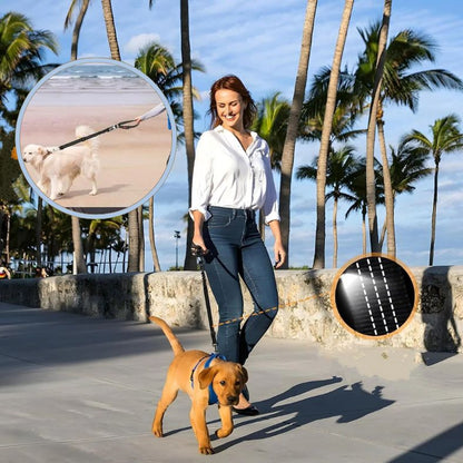 Ceinture de sécurité pour chien utilisée en laisse