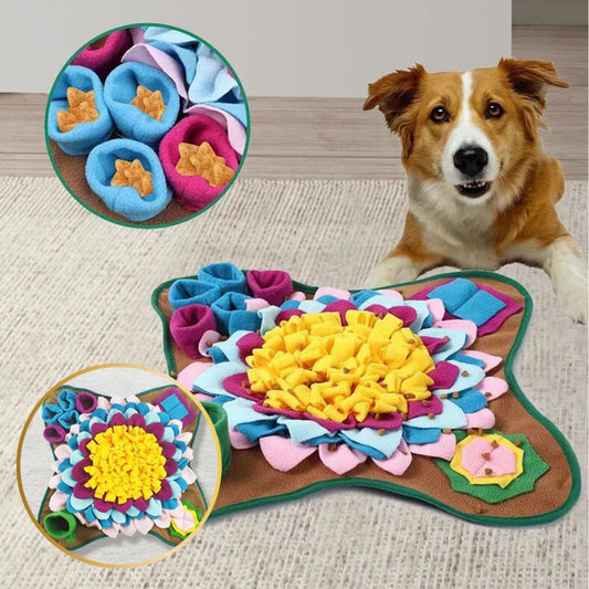 Chien allongé à côté de son tapis de fouille chien