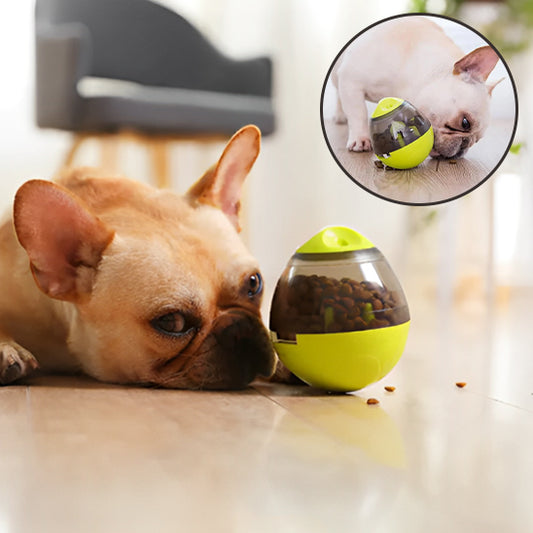Chien apaisé couché à côté du distributeur de croquettes pour chien