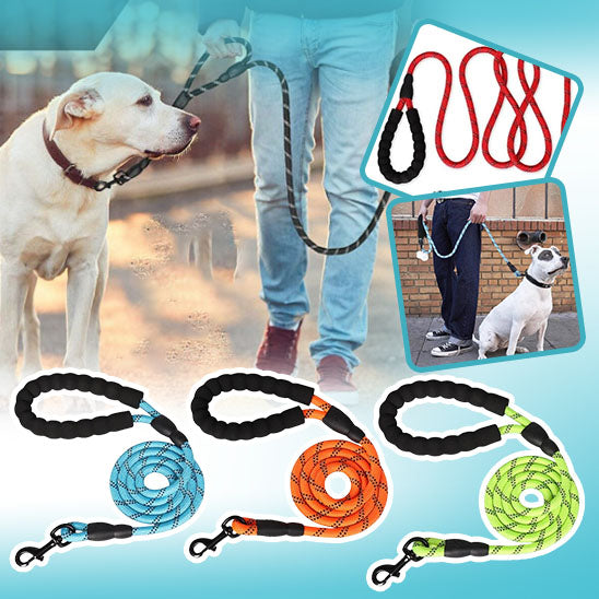 Chien attaché avec laisse pour chien ajustée à sa taille et son comportement