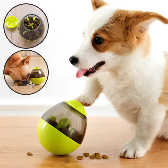 Chien avec la patte sur le distributeur de croquettes pour chien