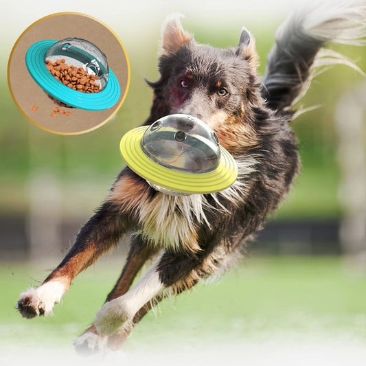 Chien courant avec distributeur de croquettes chien interactif
