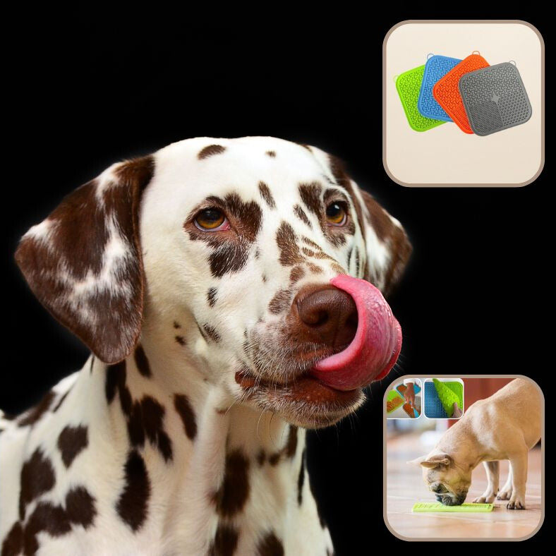 Chien détendu après avoir utilisé le tapis de lechage chien pour son repas