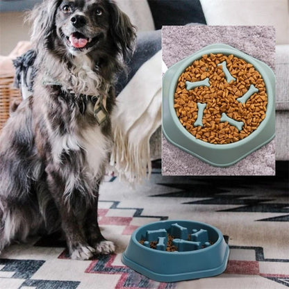 Chien détendu pendant le repas grâce à une gamelle anti glouton qui réduit le stress