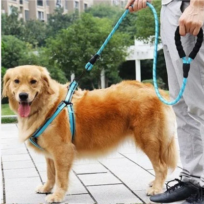 Chien en promenade avec laisse pour chien réfléchissante et confortable