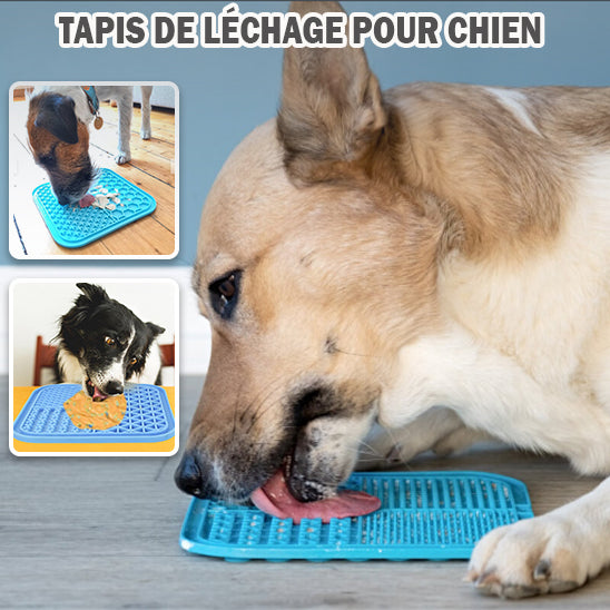 Chien en train de lécher son tapis de lechage chien rempli de nourriture