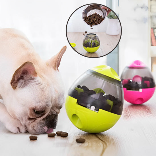 Chien en train de manger avec distributeur de croquettes pour chien