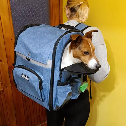Chien-observant-le-monde-depuis-un-sac-de-transport-pour-chien-porté-par-une-dame-confortablement