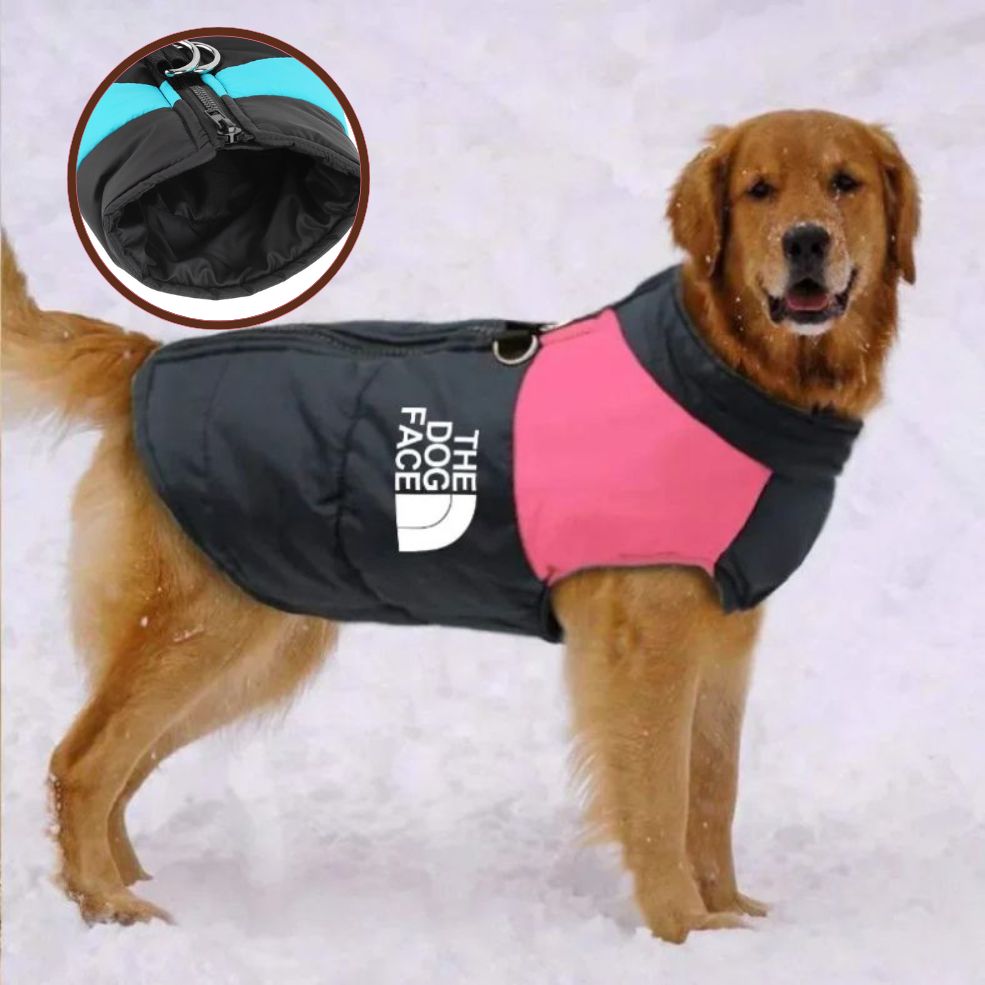 Chien portant un manteau chien imperméable et chaud en promenade hivernale