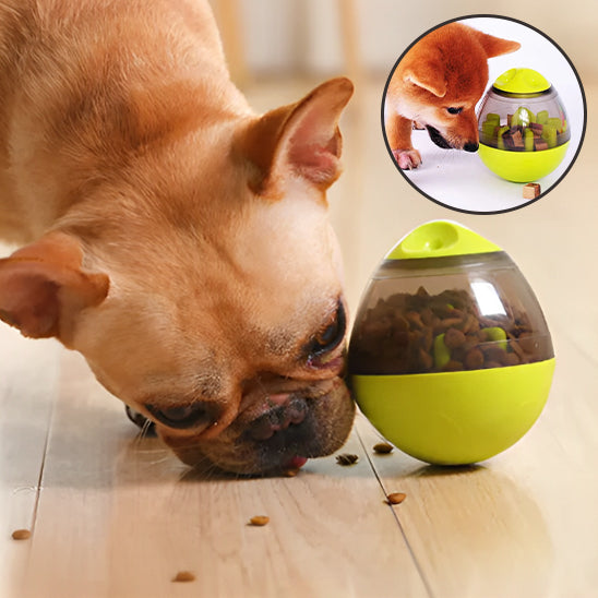 Chien poussant le distributeur de croquettes pour chien avec le nez
