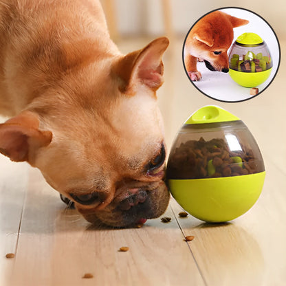Chien poussant le distributeur de croquettes pour chien avec le nez