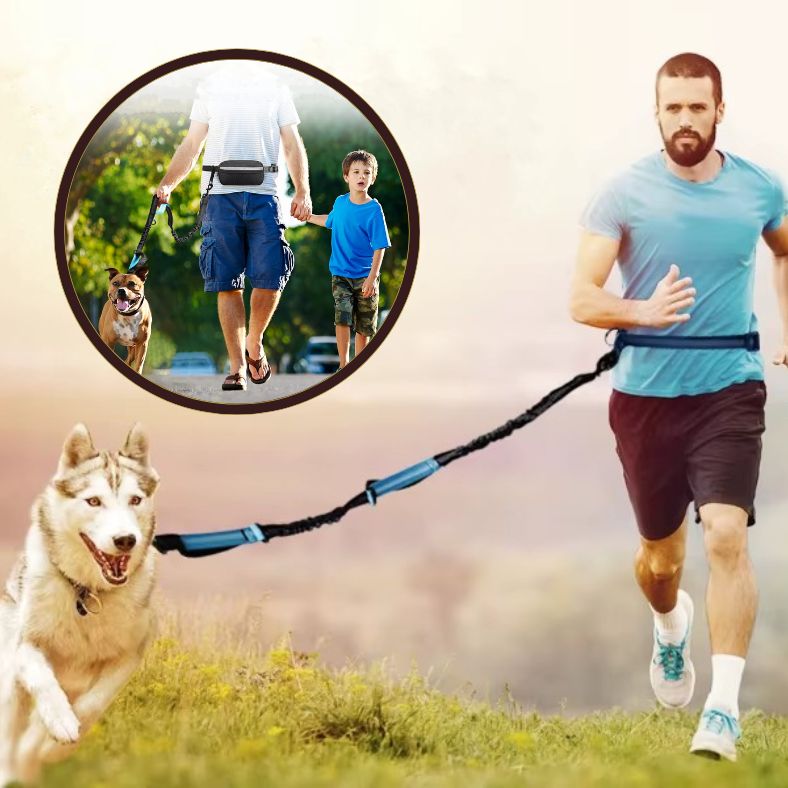 Chien qui court avec une laisse pour chien main libre