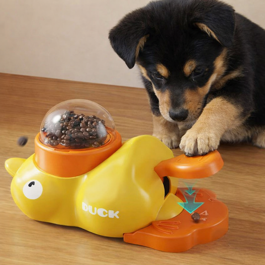 Chien utilisant une gamelle anti glouton interactive pour ralentir son repas
