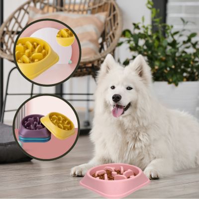 Chien utilisant une gamelle anti glouton pour mieux digérer
