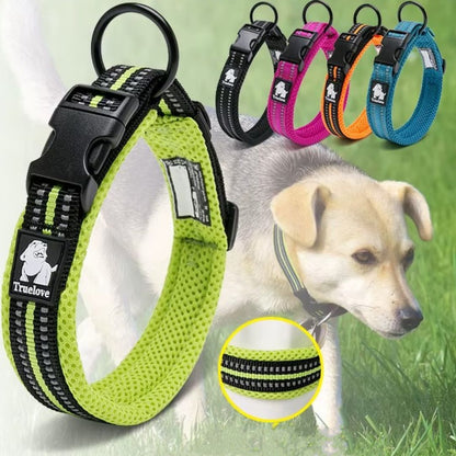Collier chien réglable disponible en plusieurs tailles et couleurs