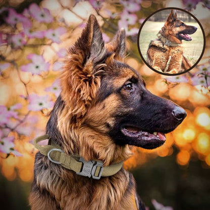 Collier chien tactique ajustable avec doublure respirante