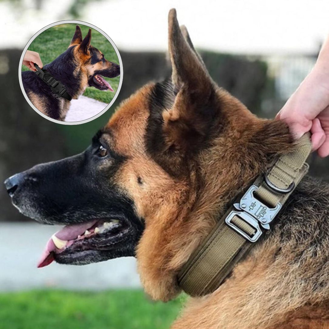 Collier chien tactique avec poignée de contrôle renforcée