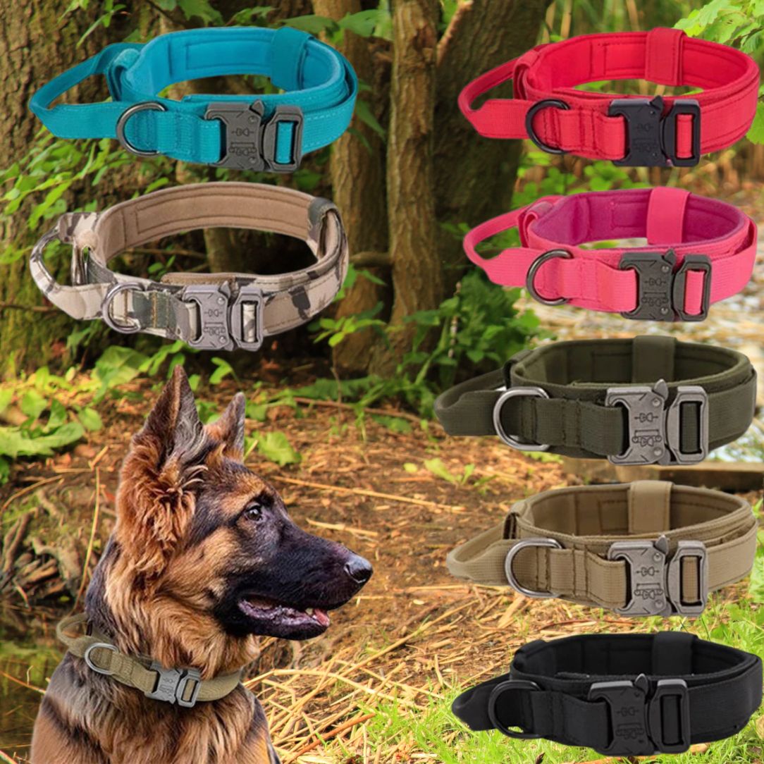 Collier chien tactique en nylon 1000D ultra résistant