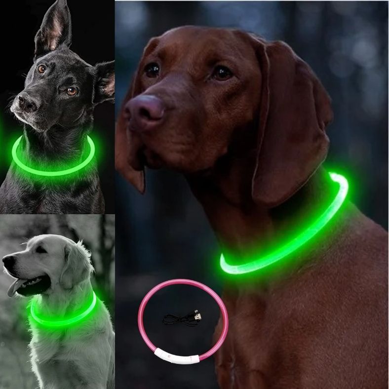 Colliers-lumineux-pour-chiens