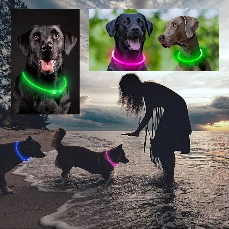 Colliers-lumineux-pour-chiens