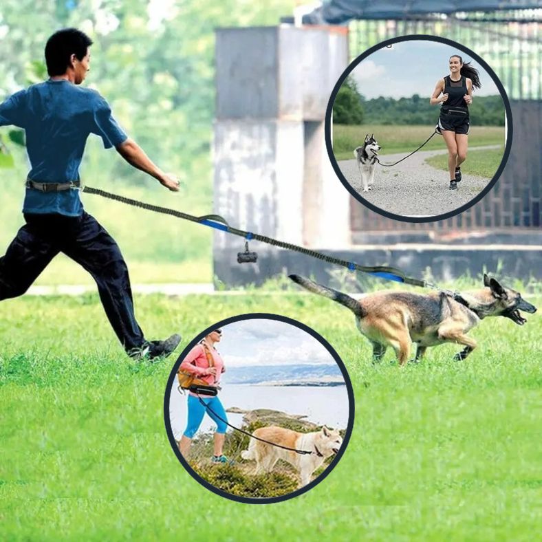 Course sécurisée avec laisse pour chien main libre