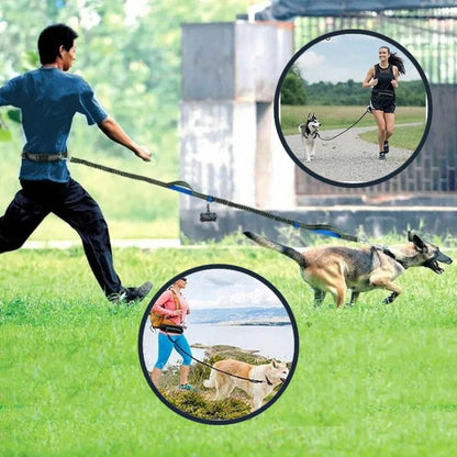 Course sécurisée avec laisse pour chien main libre