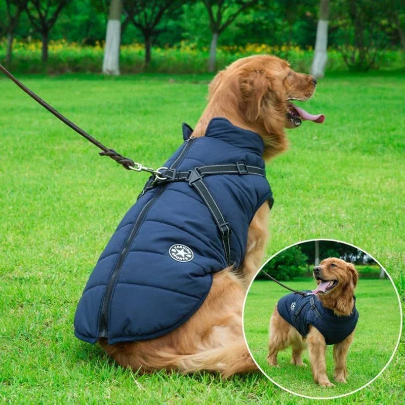 Détail du harnais intégré et de la fermeture dorsale du manteau pour chien