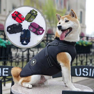 Différentes grandeurs et couleurs disponibles du manteau pour chien