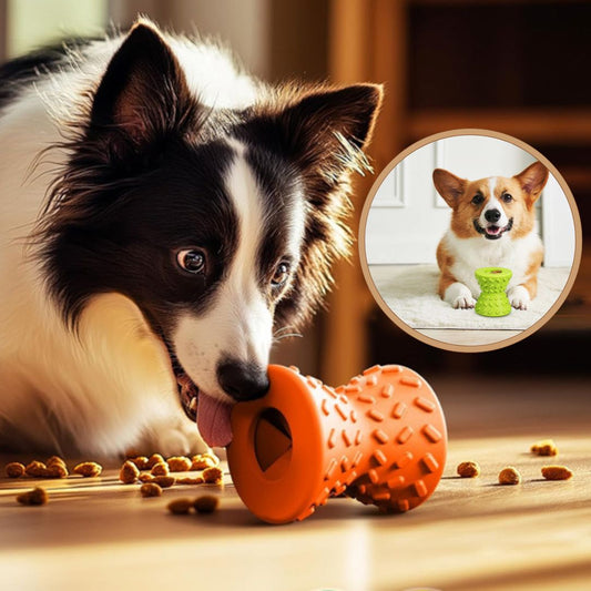 Distributeur de croquettes pour chien qui stimule l’intelligence