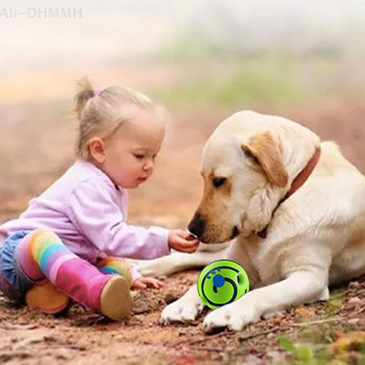 Enfant et labrador complices autour d’une balle pour chien