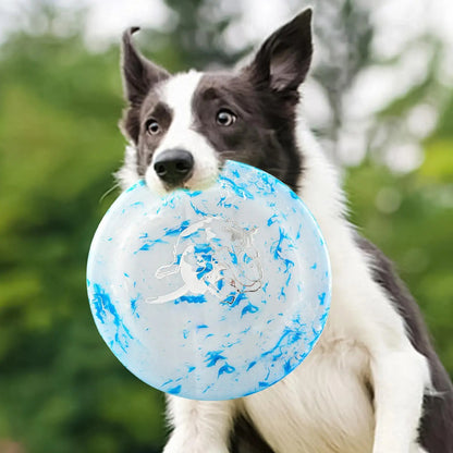 Frisbee chien dans la gueule, Border Collie suspendu dans les airs après un saut