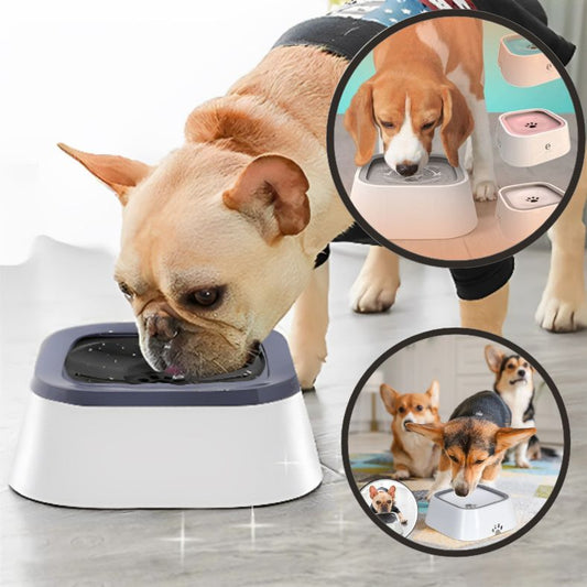 Gamelle anti debordement chien avec bol ajustable