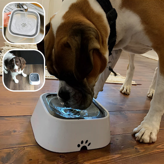 Gamelle anti debordement chien pour garder l environnement propre