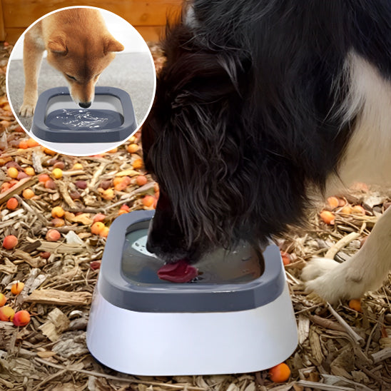Gamelle anti debordement chien pour garder les poils au sec