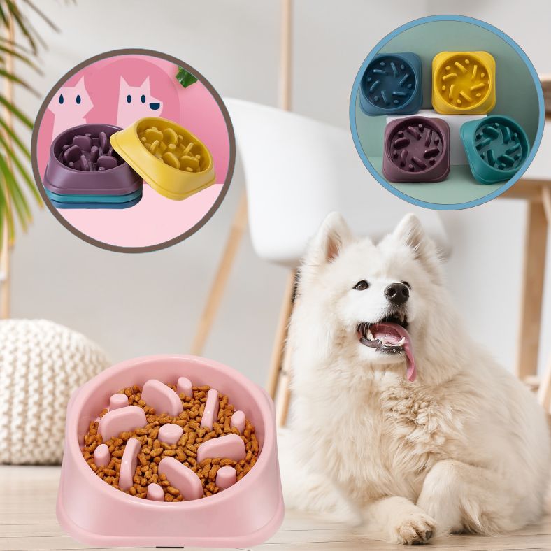 Gamelle anti glouton en plastique non toxique pour chien de toute taille