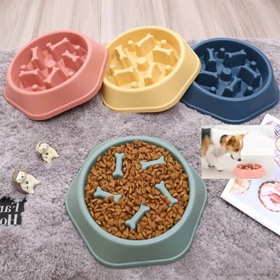 Gamelle anti glouton pour chien disponible en quatre couleurs attrayantes